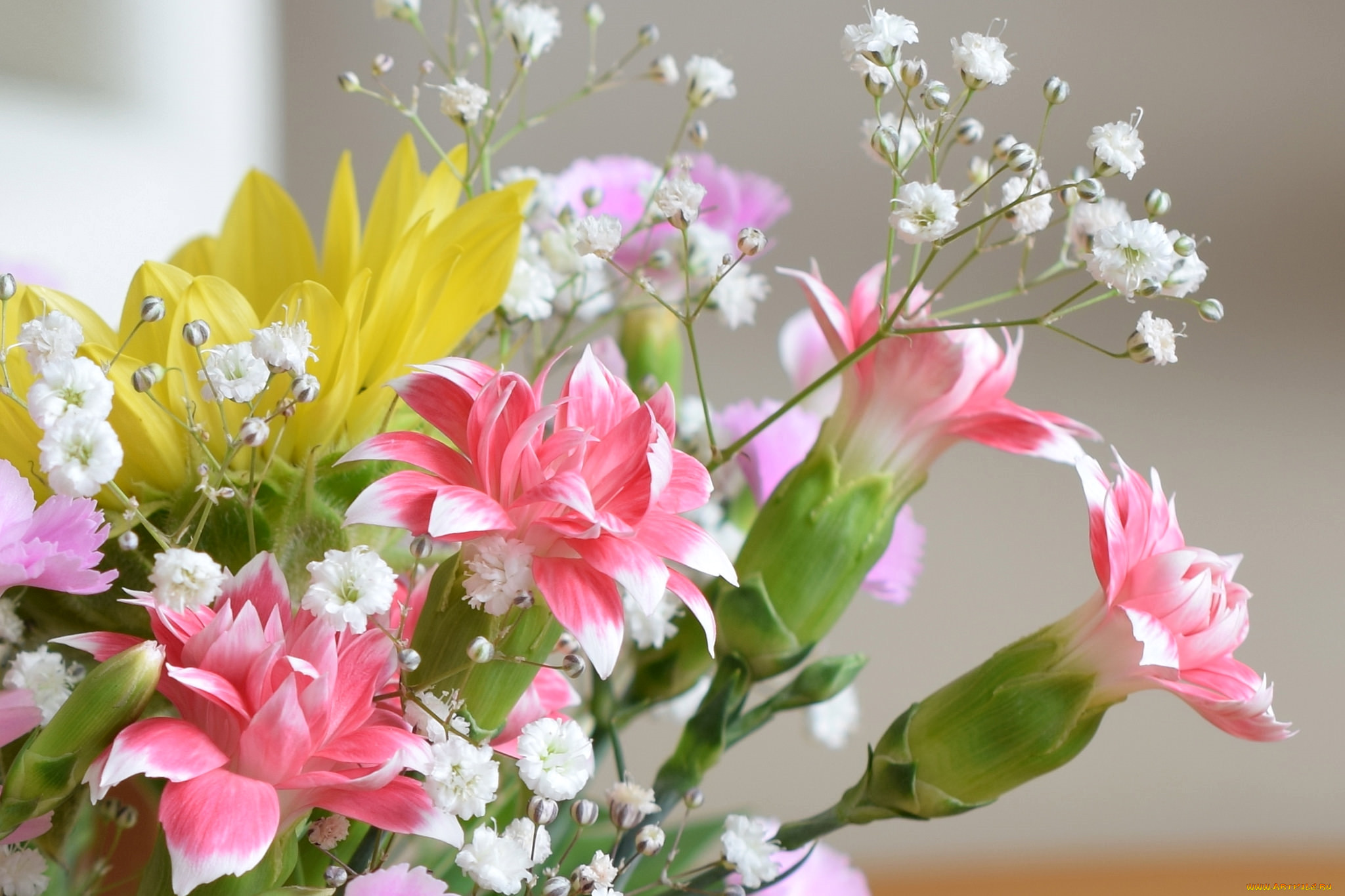 Цветы картинки праздник красивые. Весенний букет. Красивый букет цветов. Красивый весенний букет. Нежный весенний букет.